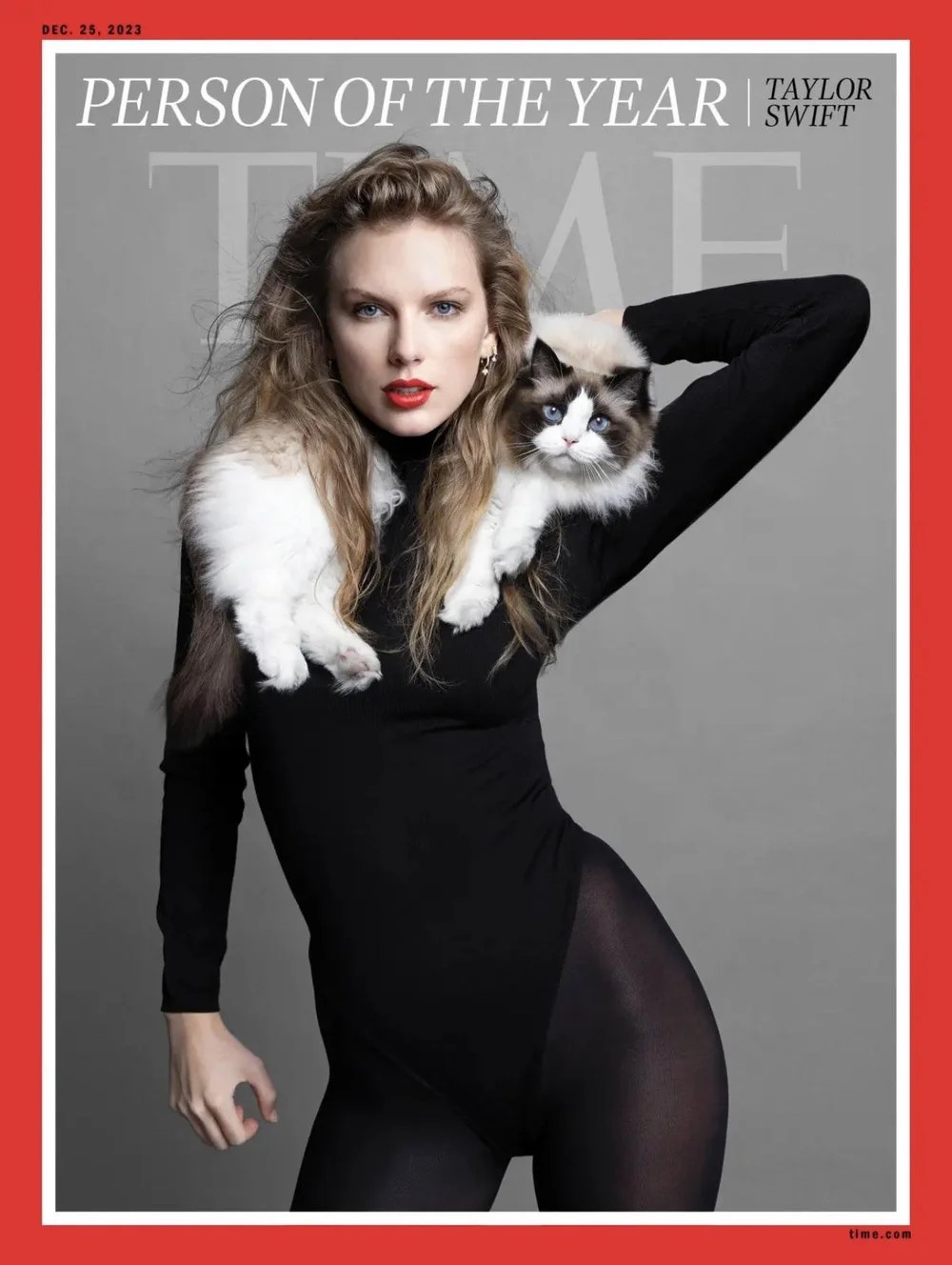 Ragdoll, la raza de gato favorita de las&nbsp;celebrities